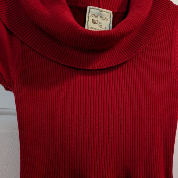 Cranberry turtleneck dress - Picture 3 of 6